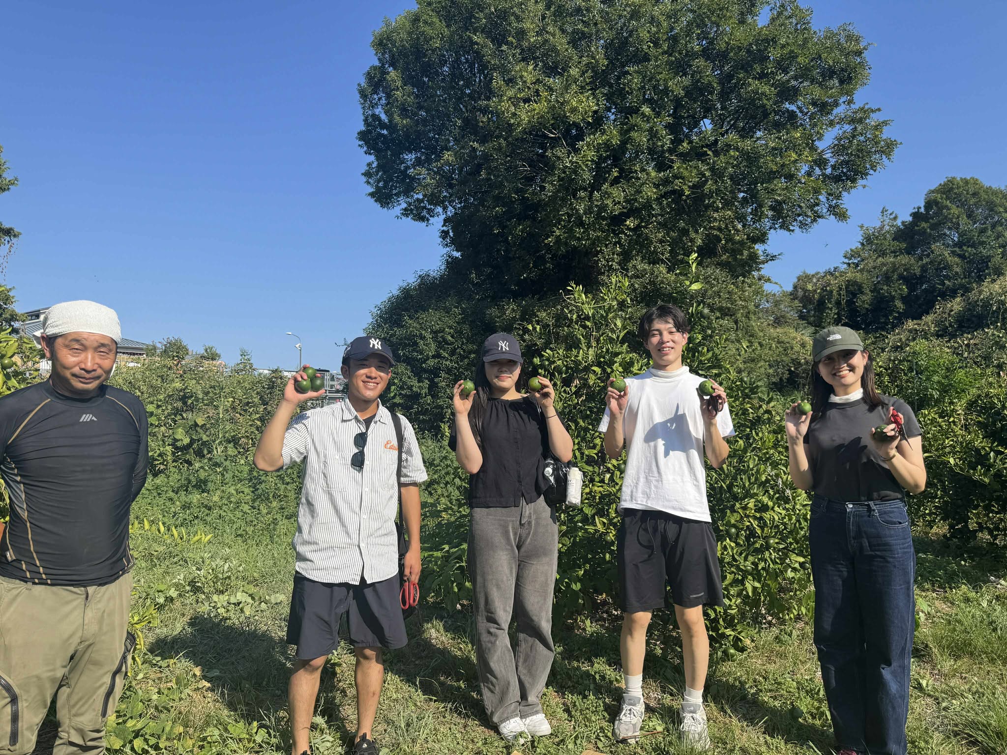 自然豊かな畑で収穫した摘果みかんや野菜を手にするTHE FISH開発チームのメンバーたち