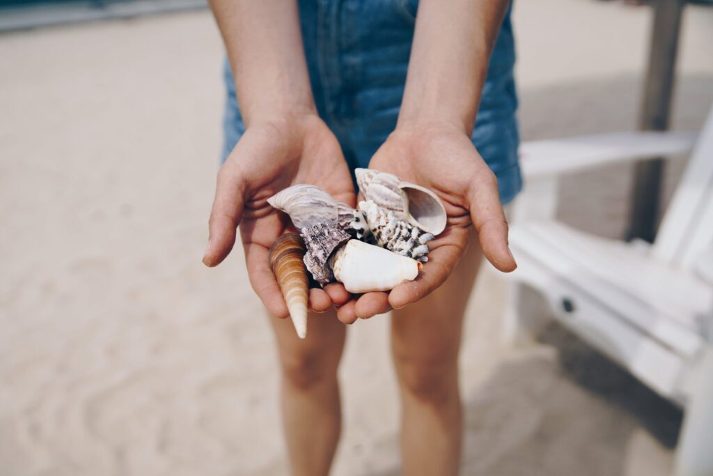 浜辺で海の恵みを手にする人物が貝殻を両手に持つ様子 自然とのつながりを感じる瞬間