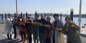 海辺で海藻を広げる作業を行う11人のグループ