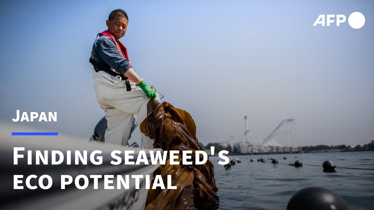 海の生き物をテーマにしたアート作品を囲む子どもたちと大人の集合写真