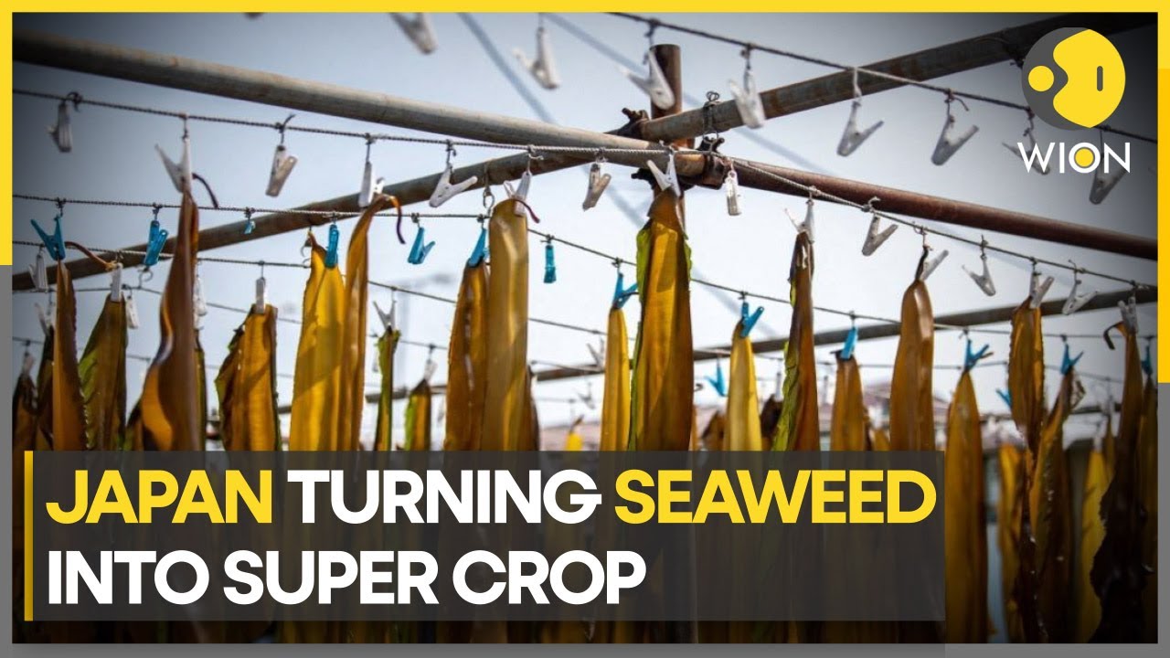 海の生き物をテーマにしたアート作品を囲む子どもたちと大人の集合写真